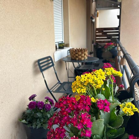 Appartement De Charme 80M2 Живор Екстериор снимка